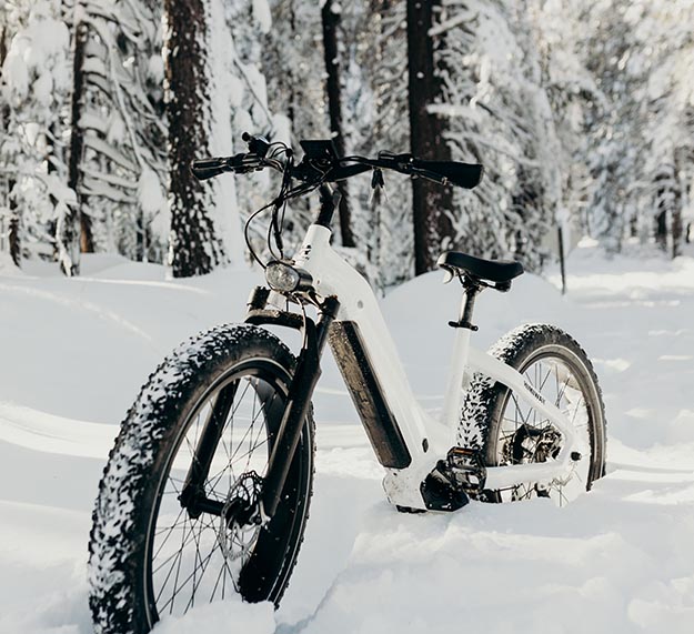 https://www.retron.world/fileadmin/user_upload/retron_2023/bilder/blog/ebike_fahren_im_winter/minusgrade-e-bike-fahren-im-winter.jpg.png